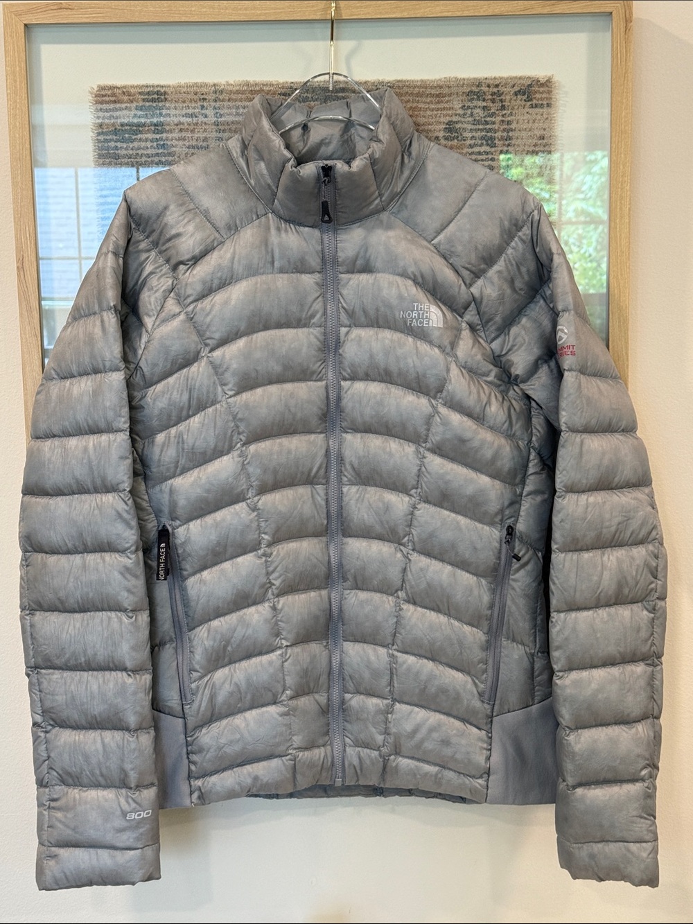 *The North Face Summit Series 800 Goose Down Jacket Womens Medium Silver